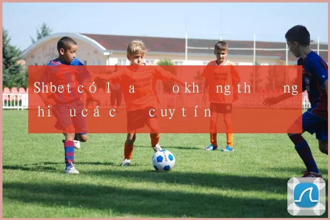 Shbet có lừa đảo không thương hiệu cá cược uy tín