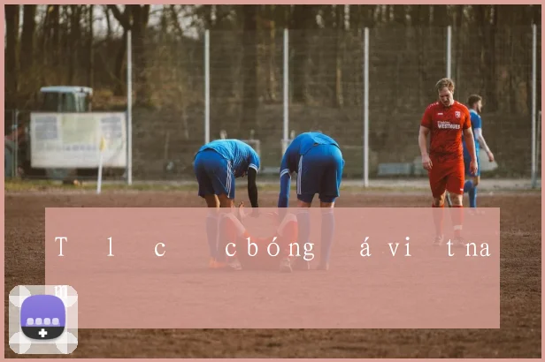 Tỷ lệ cược bóng đá việt nam