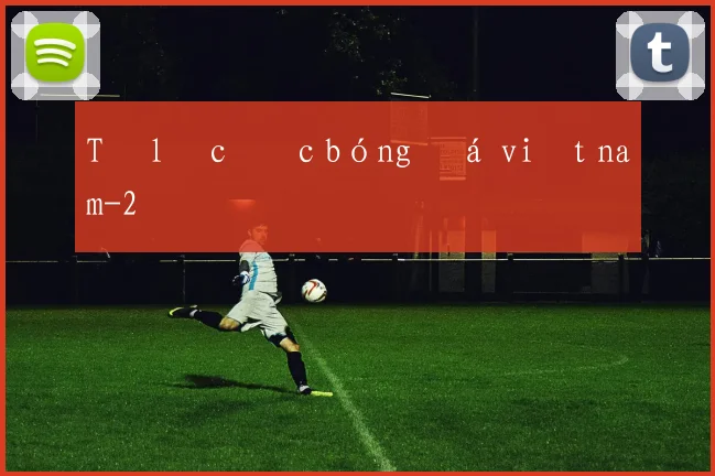 Tỷ lệ cược bóng đá việt nam